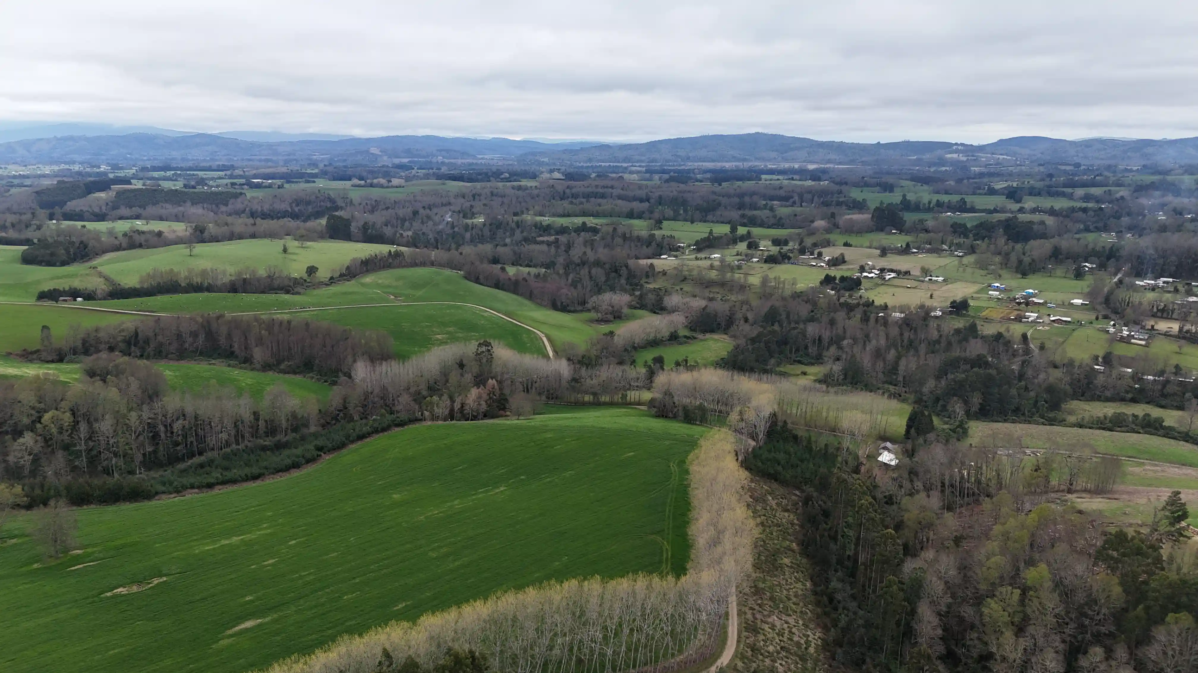 Aerial view of Fundo El Bosque Alto